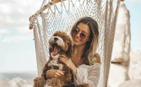 Our furry friends and faithful companions