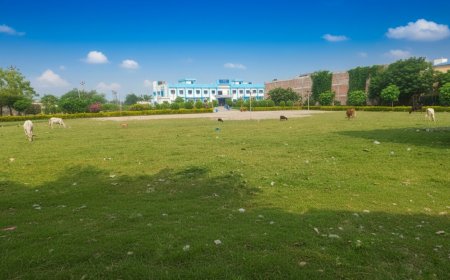 Kalinagar Playground — The Green Heart of North 24 Parganas, West Bengal